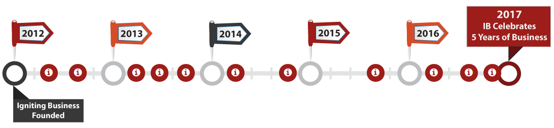 Igniting Business 5 Year Timeline