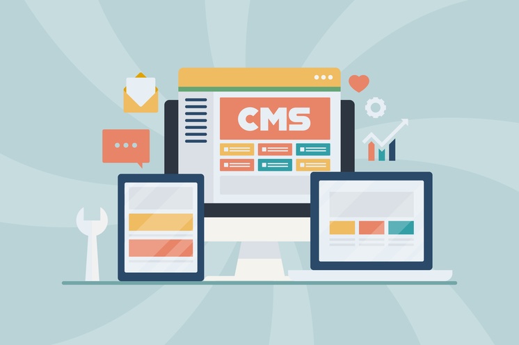 small business using cms platform for website