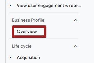 google business profile google analytics report
